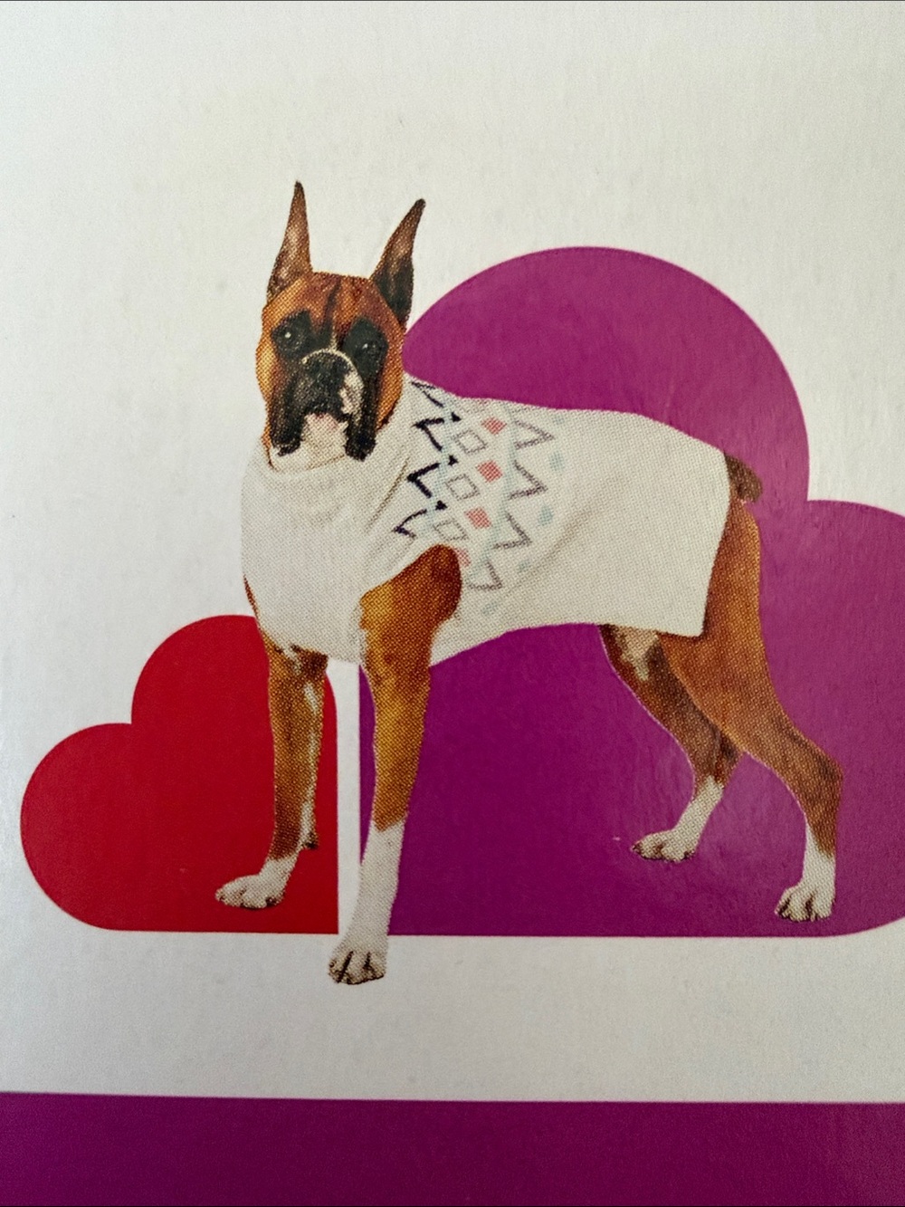Extra-Large White Knit Dog Sweater with Geometric Pattern